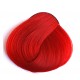 צבע אדום קורל - Coral Red צבע אדום קורל - Coral Red